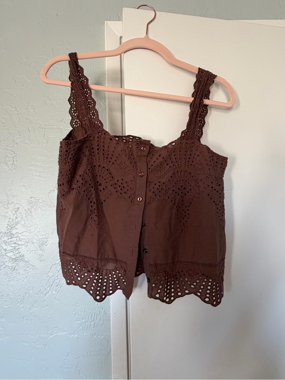 Joie Brown Eyelet Button-Front Camisole